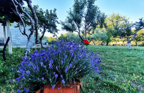 Medulin Casa | Una's Cottage