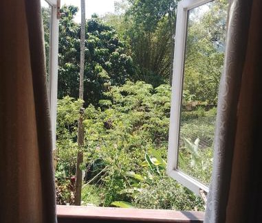 Unawatuna Cabina | Unawatuna Backpacker Lodge