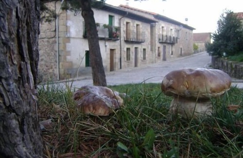 Molinos de Duero Cabaña | La Casa del Tío Benito para 6 personas