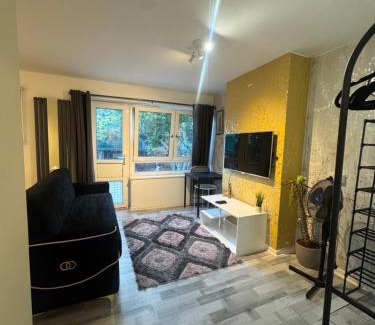 Tower Hamlets Apartamento | UNDER NEW MANAGEMENT Studio apartment in London, Bethnal Green