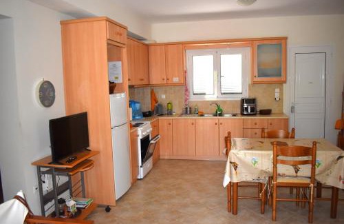 Dhrakata Casa | Under the pine tree
