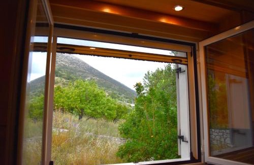 Dhrakata Casa | Under the pine tree