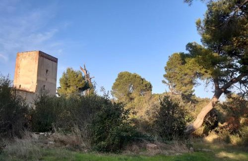 Trouillas Casa | une halte templière