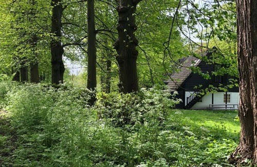 Loon op Zand Apartamento | Unieke Studio Gelegen in de Kasteeltuin van Landgoed Het Witte Kasteel