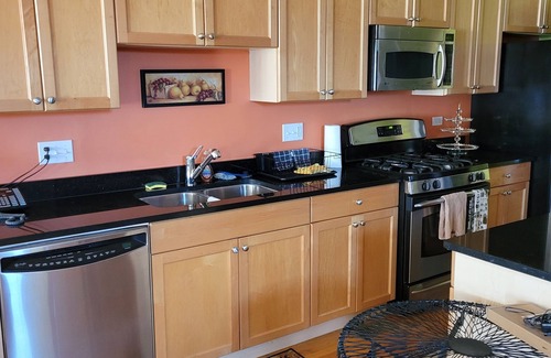 Bronzeville Casa | Unique and Chic home. rooftop deck, near lakefront. Easy commute to downtown.