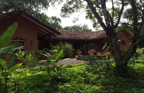 Coyolar Casa | Unique Architecture, 3 Pools and Wi-Fi