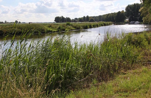 Municipality of Steenbergen Otro | Unique detached waterfront villa