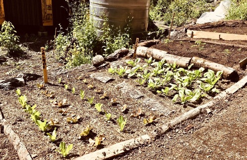 Caburgua Casa | vida ecológica única con vista al lago
