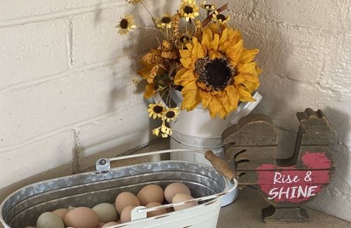 Lindsay Casa | Unique Farm stay at a Petting Zoo