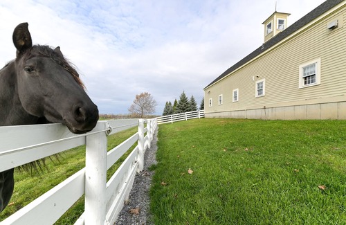 Geneva Casa | Unique Finger Lakes Converted Horse Barn w/ Patio!
