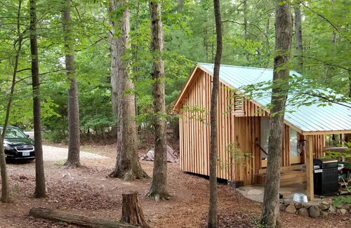 Huddleston Cabina | Nuestro 3er Gran año / Cabaña histórica única con playa privada, 300 pies adelante.