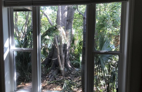 Historic Downtown Apalachicola Casa | Unique House in wooded lot. This is a WOW! Nothing like it!