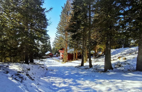 Ambroz pod Krvavcem Apartamento | Unique location - ski slope just 10 meters from the appartment!