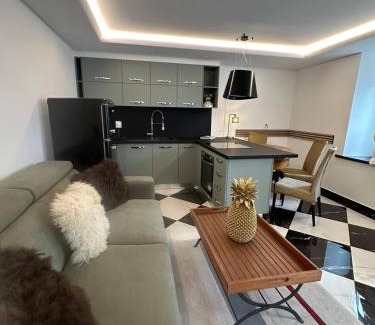 Losone Apartamento | Unique Losone Apartment