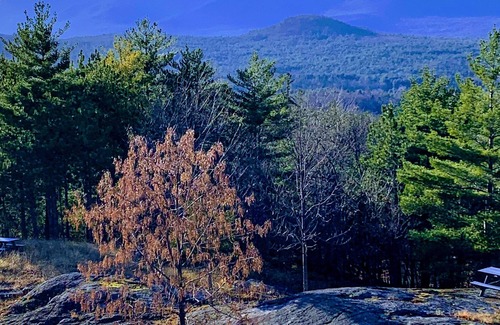Jay Cabina | Unique Ski Lodge on 2000 acres near Lake Placid