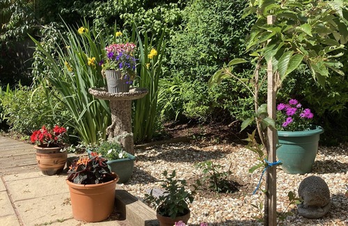 Sticklepath Casa | Unique quirky studio in Spreyton (Mid Devon)