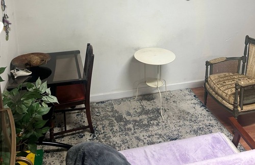 Newbold Apartamento | Unique space conveniently located Center City