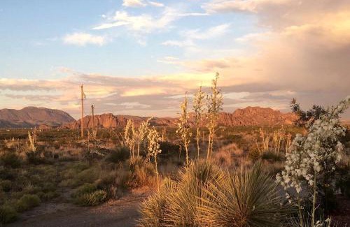 El Paso Otro | Unique Yurt Accommodation for a Romantic Getaway in El Paso, Texas