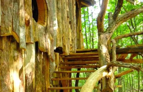 West Pawlet Casa | Uniquely Crafted Tree House Rental near Lake Saint Catherine, Vermont