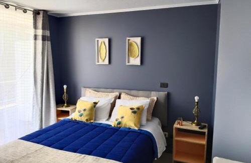 Bellavista Apartamento | Uno y Dos dormitorios VIVIR EN SANTIAGO