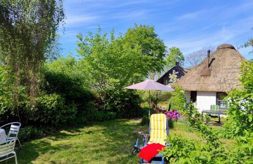 Suderdeich Casa | Unser Froschhaus