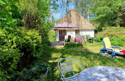 Suderdeich Casa | Unser Froschhaus