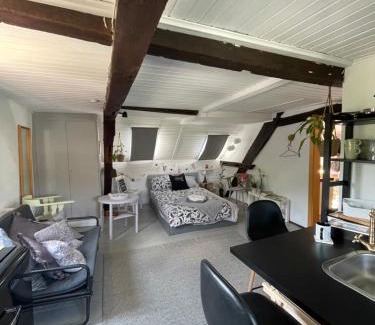 Nassau Casa | "unterm Dach" in Nassau an der Lahn