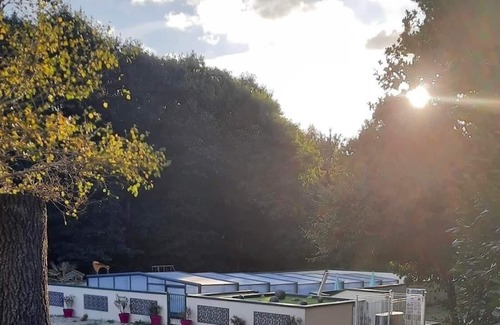 Saint-Evarzec Cabina | Unusual accommodation, spend a night in the Bubble Jungle under the stars