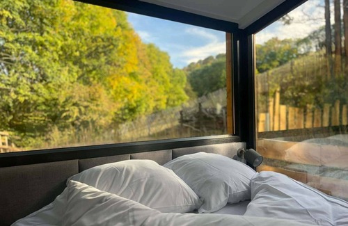 Orbey Cabina | Unusual lodge in a natural setting with private Nordic bath - Alsace