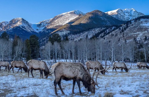 Estes Park Cabaña | Unwind in our charming cottage, perfect for a romantic getaway or solo retreat.