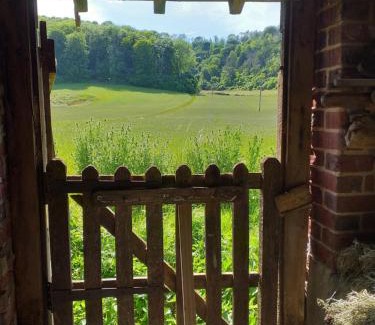 Sutton Otro | Up at the Barn