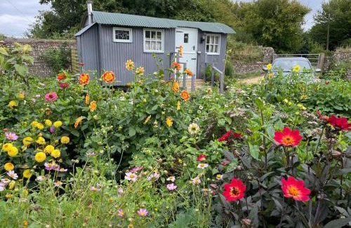 Sutton Otro | Up at the Barn