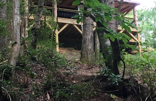 Deep Gap Casa | “Up The Creek” Cabin