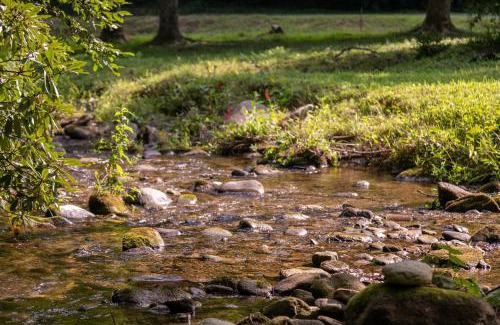 Linville Casa | Up the Creek