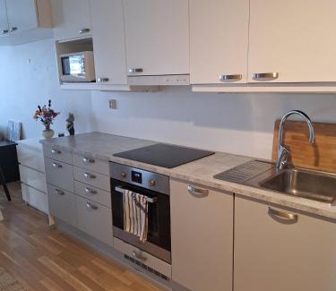 Lappeenranta Apartamento | Upea asunto ydinkeskustassa