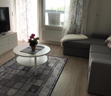 Seinajoki Apartamento | Upea kaksio, Keskustorin laidalla