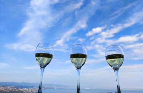 Bregi Apartamento | Uphill Opatija Apartment