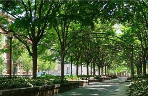 Downtown Cincinnati Apartamento | Upscale Modern Apartment near OTR/Downtown Area