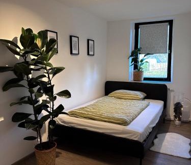 Buttelstedt Apartamento | Urban Studio