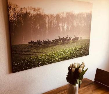 Grossenbrode Apartamento | Urlaub auf Mittelhof
