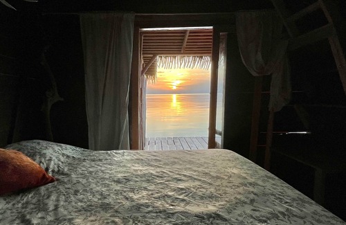 Punta Laurel Cabina | Urraca Monkey Island Eco Resort