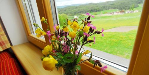 Kastelruth Casa | Urthalerhof