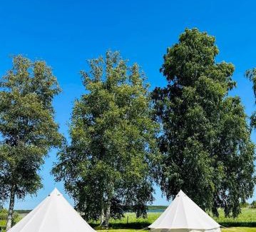Korgessaare Otro | Utoopia Glämping Viscosas