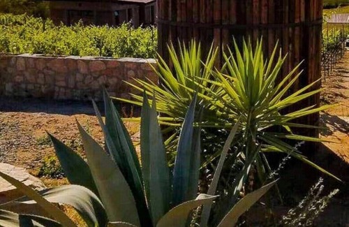 San Antonio de las Minas Cabina | UvaUva 1 | retiro ecológico | Cama King-Balcón
