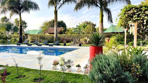 Arusha Casa | Uyoga House
