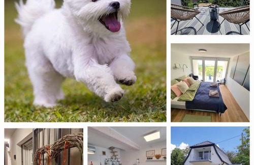 Bakonycsernye Casa | Várta-Lak Panoráma Présház Vendégház