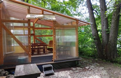 Moravka Otro | Včelín - Camp pod kaštany