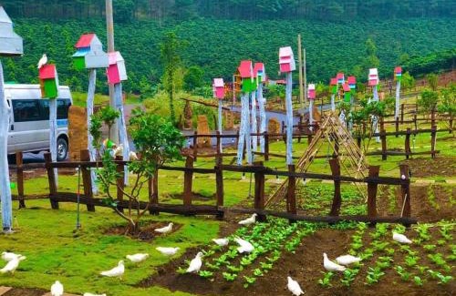 Bao Lam Otro | Vườn An Nhiên - Bảo Lâm