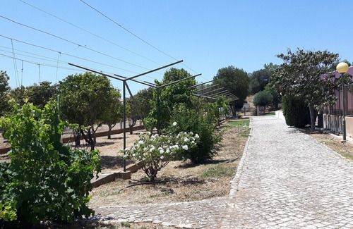 Sargacal Cabaña | V1 en ambiente rural