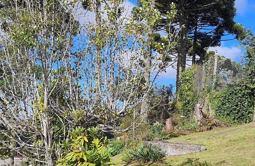 Recanto Araucaria Chalet De Esquí | Valle do Sol Chalets - Hydrangea Chalet